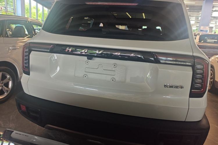 Used Haval DARGO 2022 1.5T DCT Two-Wheel Drive Border Collie Edition Rear