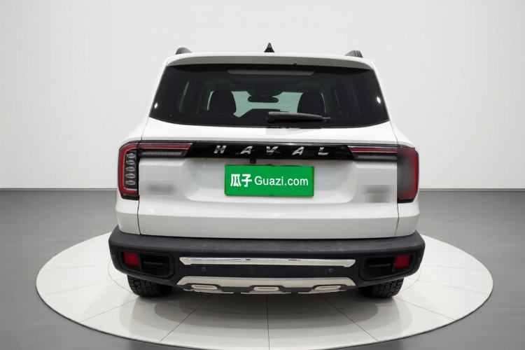Used Haval DARGO 2022 2.0T DCT 4x4 Chinese Rural Dog Edition Rear