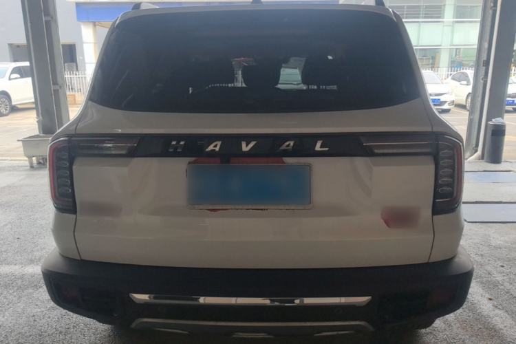 Used Haval DARGO 2022 2.0T DCT 4x4 Chinese Rural Dog Edition Rear