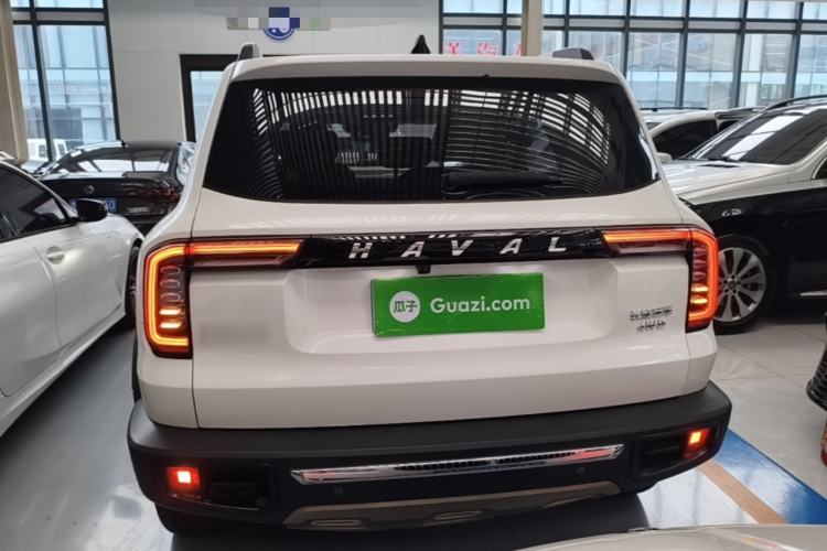 Used Haval DARGO 2022 2.0T DCT 4x4 Chinese Rural Dog Edition Rear