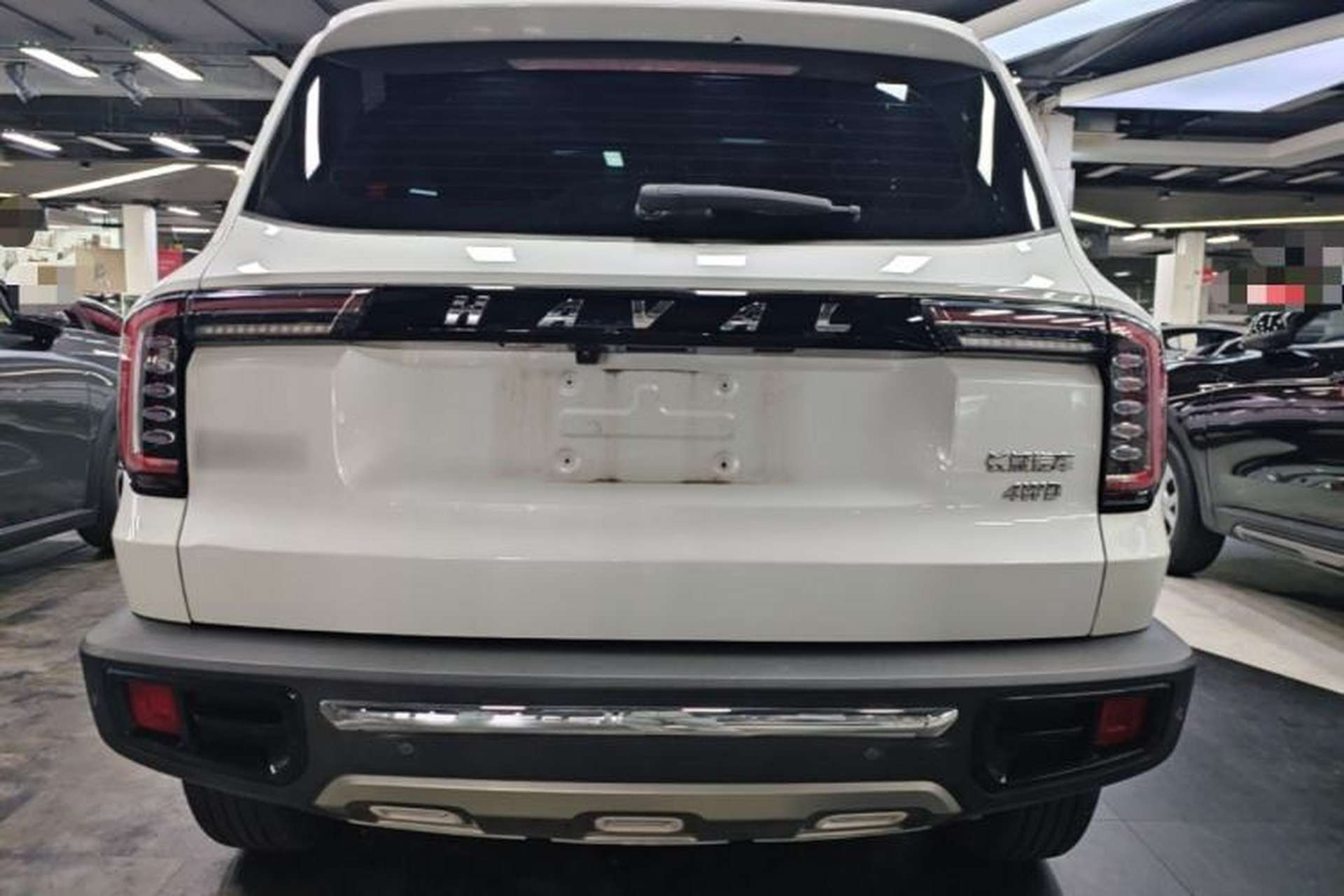 Used Haval DARGO 2022 2.0T DCT 4x4 Chinese Rural Dog Edition Rear