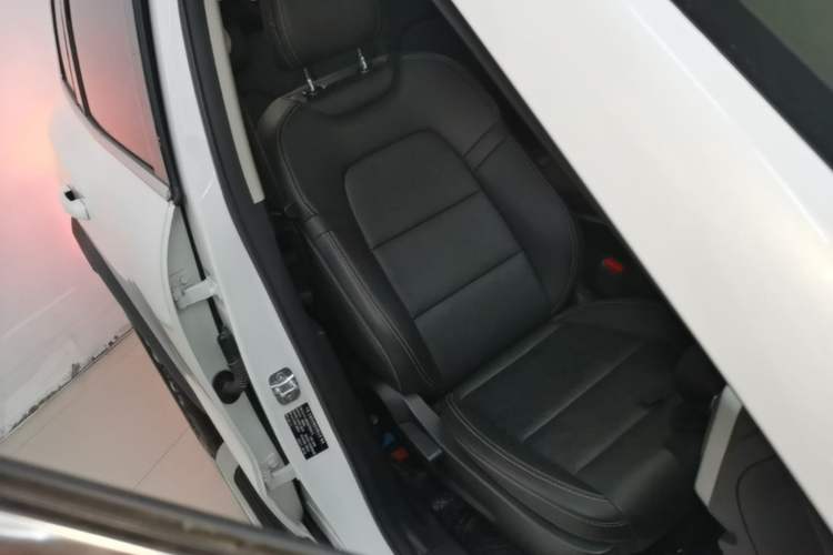 Used Haval DARGO 2022 1.5T DCT Two-Wheel Drive Border Collie Edition Right Front Seat
