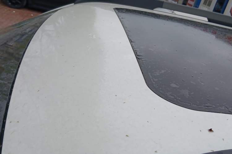 Used Haval DARGO 2022 2.0T DCT 4x4 Xiaotianquan Pursuit Edition Roof