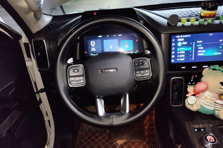Used Haval DARGO 2022 2.0T DCT All-Wheel-Drive Xiaotianque Version Steering Wheel
