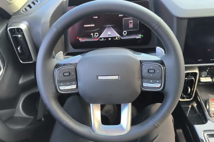 Used Haval DARGO 2022 1.5T DCT Two-Wheel Drive Border Collie Edition Steering Wheel