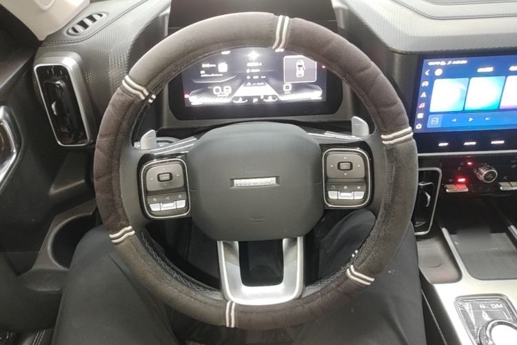 Used Haval DARGO 2022 1.5T DCT Two-Wheel Drive Labrador Edition Steering Wheel