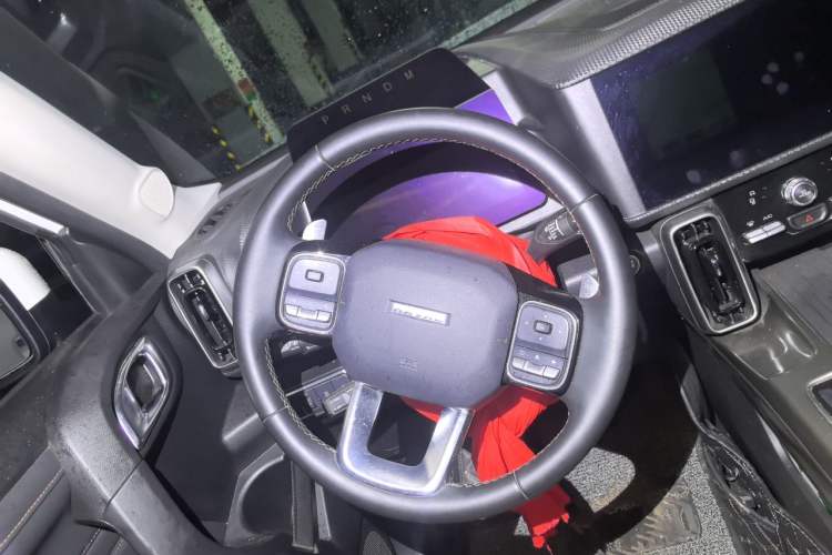 Used Haval DARGO 2022 1.5T DCT Two-Wheel Drive Labrador Edition Steering Wheel
