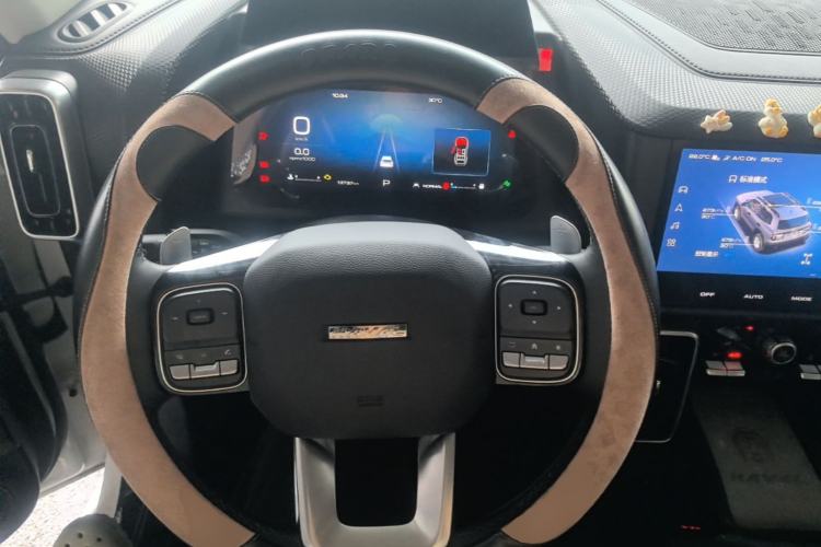 Used Haval DARGO 2022 2.0T DCT 4x4 Chinese Rural Dog Edition Steering Wheel