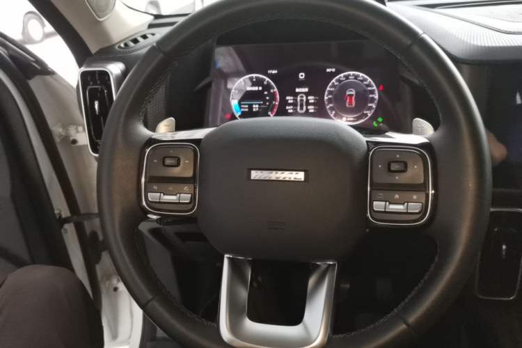 Used Haval DARGO 2022 1.5T DCT Two-Wheel Drive Mastiff Edition Steering Wheel