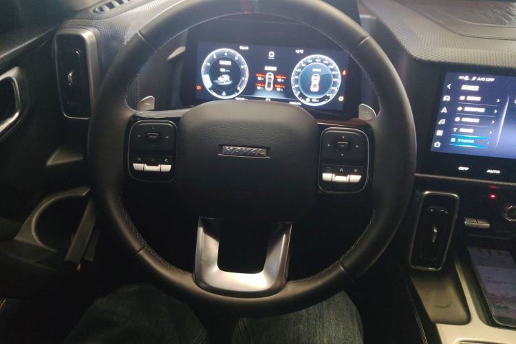 Used Haval DARGO 2022 1.5T DCT Two-Wheel Drive Labrador Edition Steering Wheel