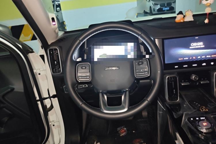 Used Haval DARGO 2022 2.0T DCT All-Wheel-Drive Xiaotianque Version Steering Wheel
