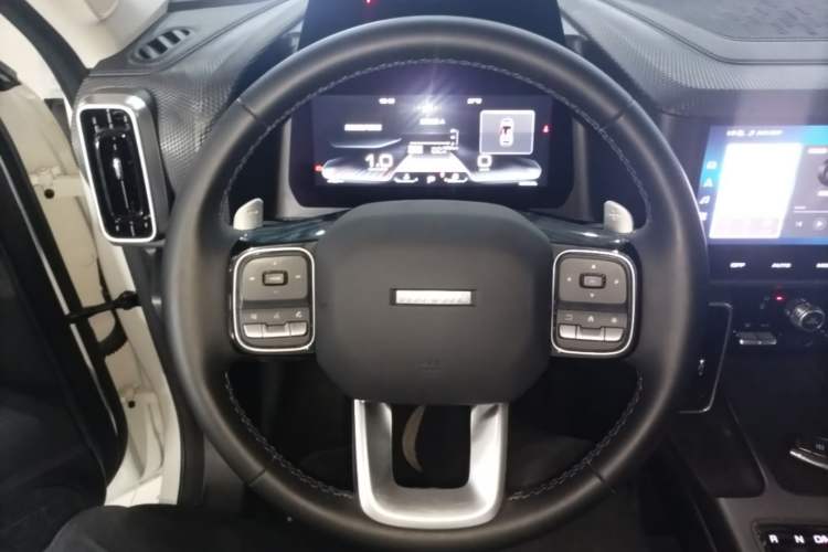Used Haval DARGO 2022 1.5T DCT Two-Wheel Drive Labrador Edition Steering Wheel