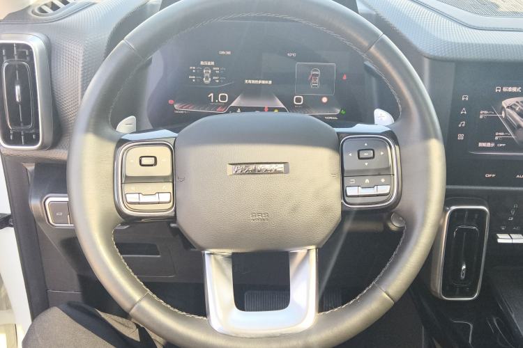 Used Haval DARGO 2022 2.0T DCT 4x4 Chinese Rural Dog Edition Steering Wheel