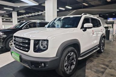 Used Haval DARGO 2022 2.0T DCT 4x4 Chinese Rural Dog Edition