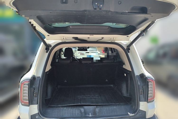 Used Haval DARGO 2022 2.0T DCT 4x4 Chinese Rural Dog Edition Trunk