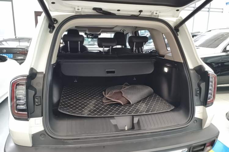 Used Haval DARGO 2022 2.0T DCT 4x4 Chinese Rural Dog Edition Trunk