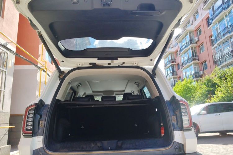 Used Haval DARGO 2022 2.0T DCT 4x4 Chinese Rural Dog Edition Trunk