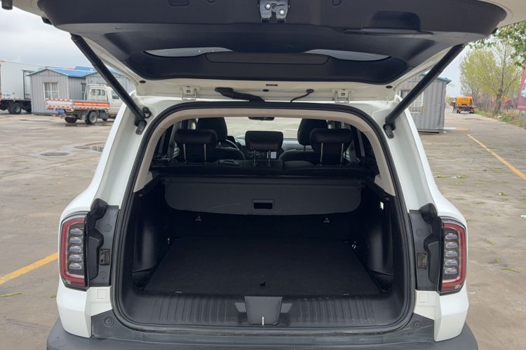 Used Haval DARGO 2022 2.0T DCT 4x4 Chinese Rural Dog Edition Trunk