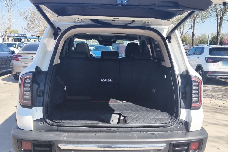 Used Haval DARGO 2022 2.0T DCT 4x4 Chinese Rural Dog Edition Trunk