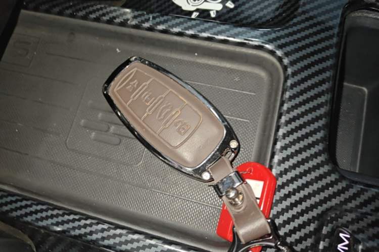 Used Haval DARGO 2022 1.5T DCT Two-Wheel Drive Labrador Edition Vehicle Key