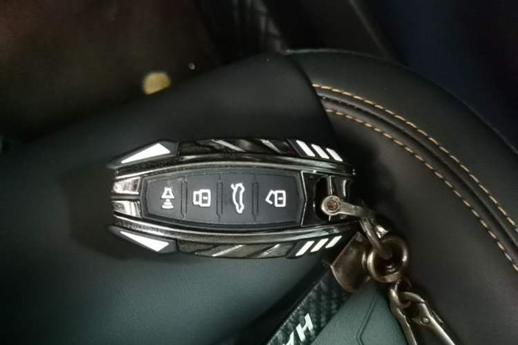 Used Haval DARGO 2022 2.0T DCT 4x4 Chinese Rural Dog Edition Vehicle Key