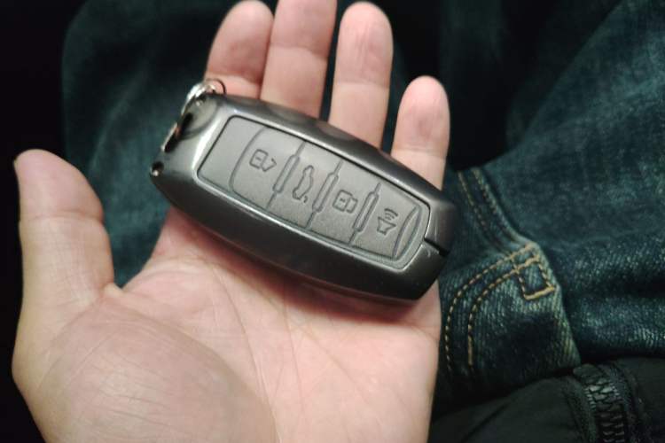 Used Haval DARGO 2022 1.5T DCT Two-Wheel Drive Labrador Edition Vehicle Key