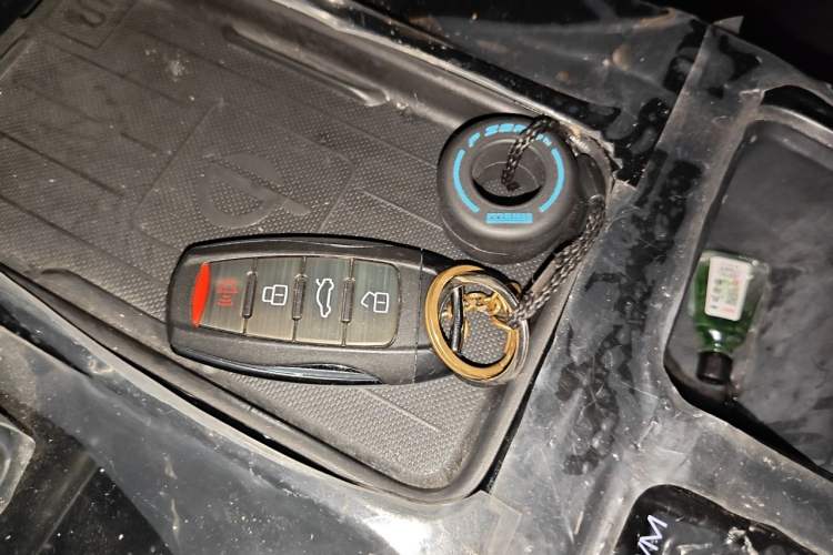 Used Haval DARGO 2022 2.0T DCT All-Wheel-Drive Xiaotianque Version Vehicle Key