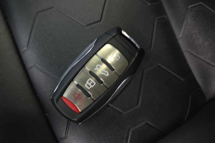 Used Haval DARGO 2022 2.0T DCT 4x4 Chinese Rural Dog Edition Vehicle Key