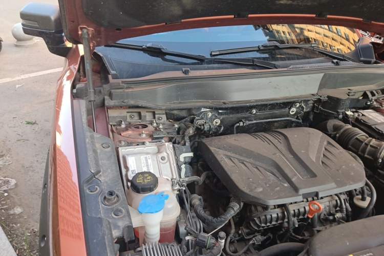 Used Haval DARGO 2022 2.0T DCT 4x4 Chinese Rural Dog Hunting Edition Engine Bay Right