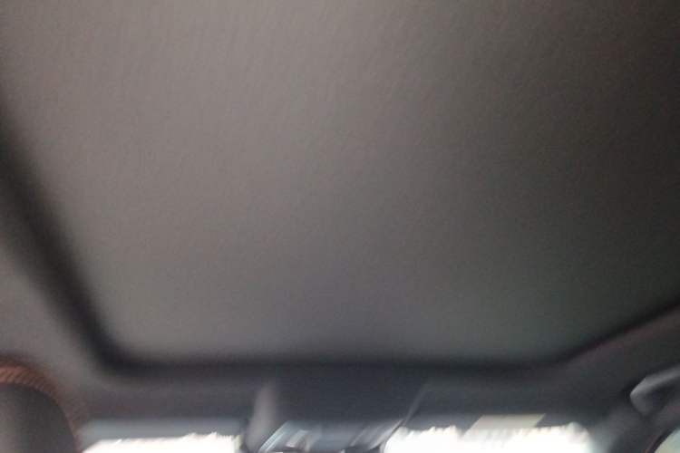 Used Haval DARGO 2022 2.0T DCT 4x4 Chinese Rural Dog Hunting Edition Headliner