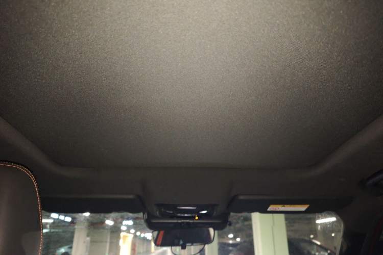 Used Haval DARGO 2022 2.0T DCT 4x4 Chinese Rural Dog Edition Headliner