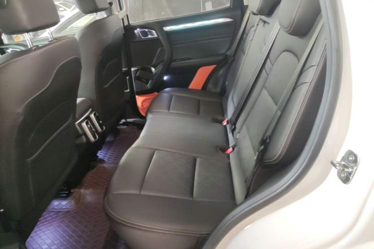 Used Haval DARGO 2022 1.5T DCT Two-Wheel Drive Border Collie Edition Left Rear Seat