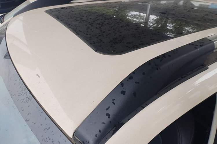 Used Haval DARGO 2022 1.5T DCT Two-Wheel Drive Labrador Edition Roof