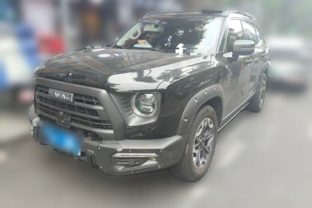 Used Haval DARGO 2024 2.0T DCT Chinese Rural Dog Edition
