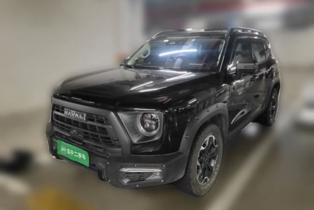 Used Haval DARGO 2024 2.0T DCT Chinese Rural Dog Edition