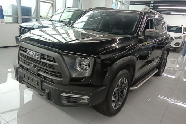 Used Haval DARGO 2024 2.0T DCT Chinese Rural Dog Edition