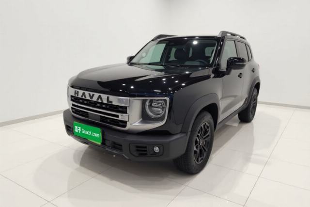 Used Haval DARGO 2024 2.0T DCT Chinese Rural Dog Edition