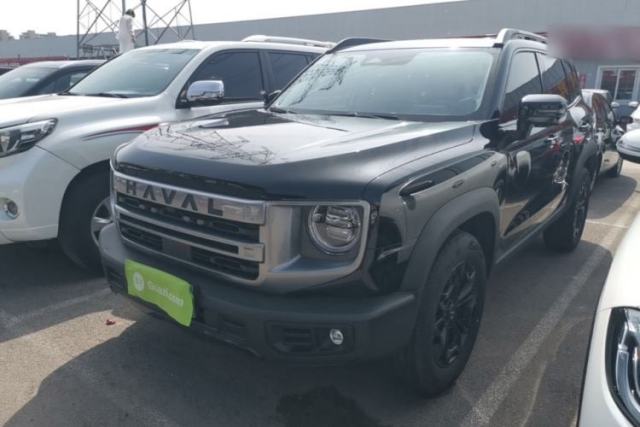 Used Haval DARGO 2024 2.0T DCT Chinese Rural Dog Edition