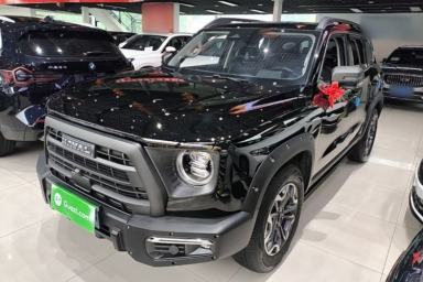 Used Haval DARGO 2024 2.0T DCT Chinese Rural Dog Edition