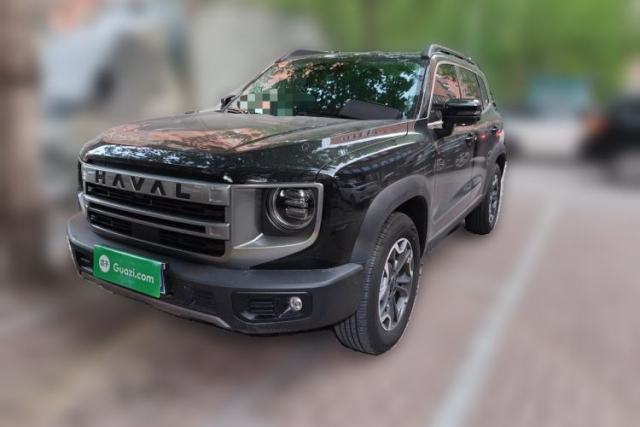 Used Haval DARGO 2024 2.0T DCT Chinese Rural Dog Edition