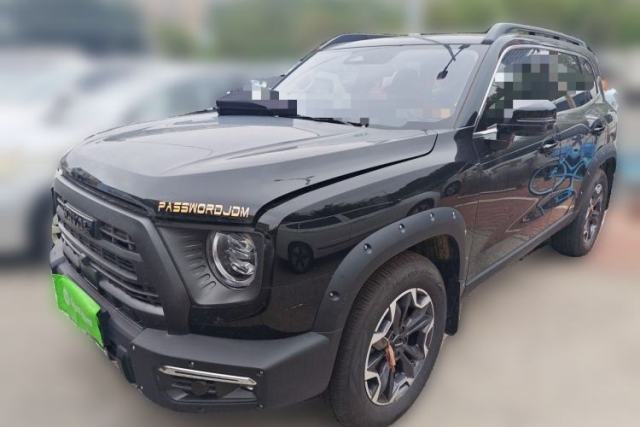 Used Haval DARGO 2024 2.0T DCT Chinese Rural Dog Edition