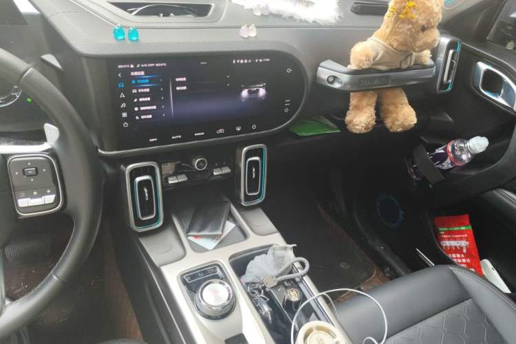 Used Haval DARGO 2024 2.0T DCT Chinese Rural Dog Edition Audio And AC Panel