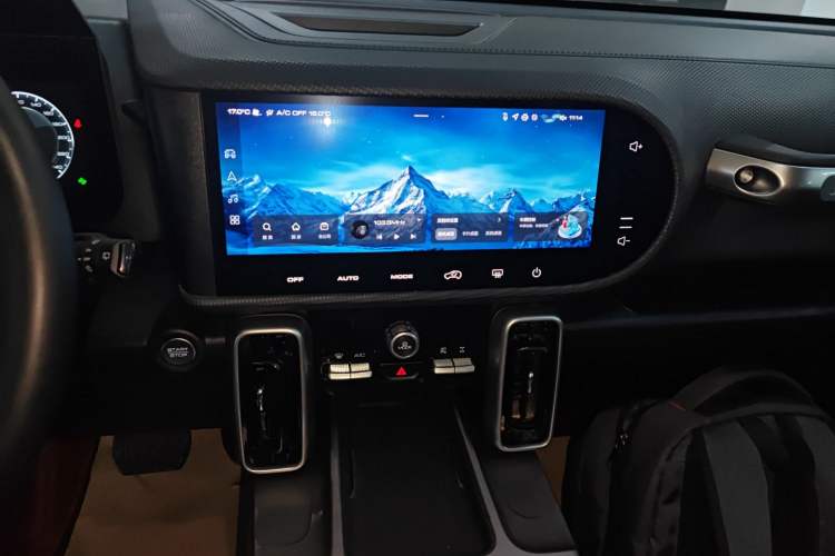 Used Haval DARGO 2024 2.0T DCT Chinese Rural Dog Edition Audio And AC Panel