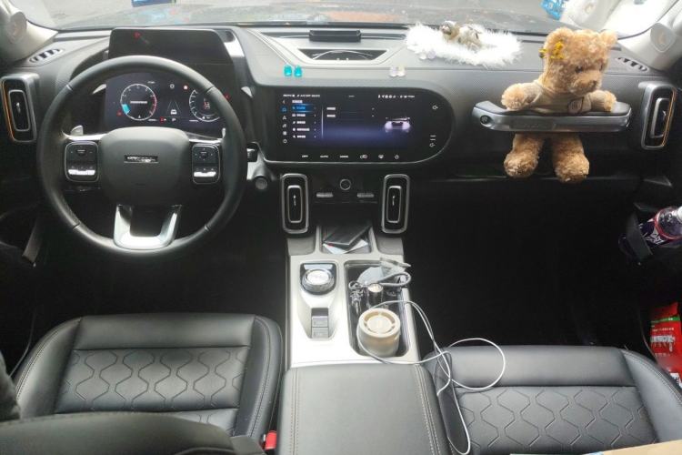 Used Haval DARGO 2024 2.0T DCT Chinese Rural Dog Edition Center Console