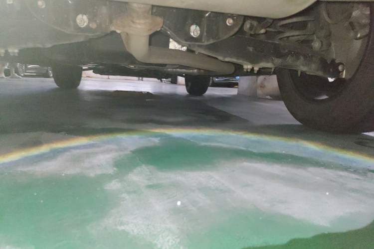 Used Haval DARGO 2024 1.5T DCT Border Collie Edition Chassis Rear