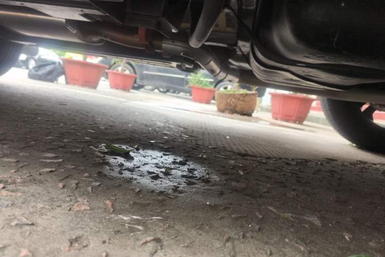 Used Haval DARGO 2024 1.5T DCT Border Collie Edition Chassis Rear Left