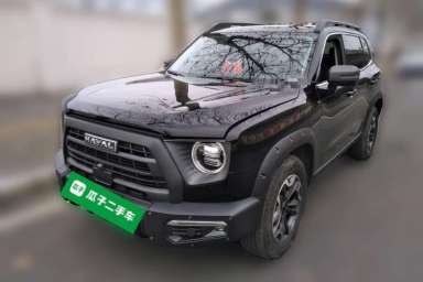 Used Haval DARGO 2024 2.0T DCT Chinese Rural Dog Edition