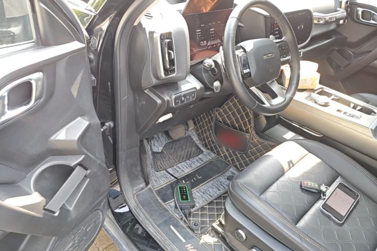 Used Haval DARGO 2024 2.0T DCT Chinese Rural Dog Edition Driver Seat