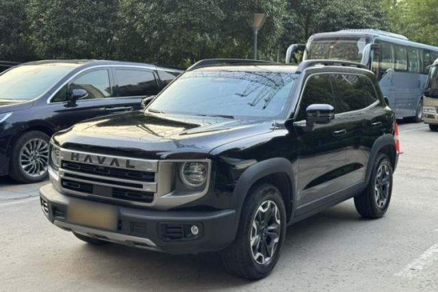 Used Haval DARGO 2024 2.0T DCT Chinese Rural Dog Edition