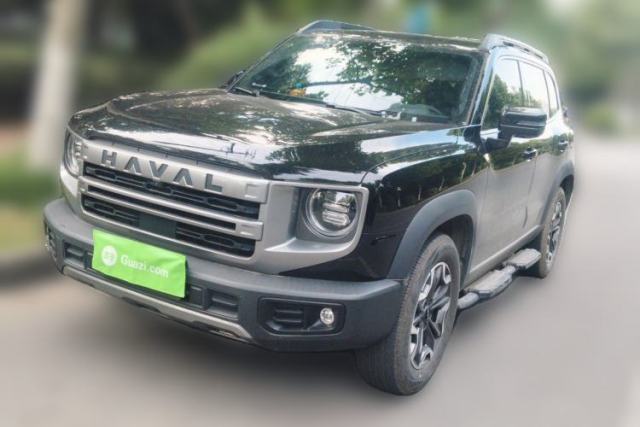 Used Haval DARGO 2024 2.0T DCT Chinese Rural Dog Edition